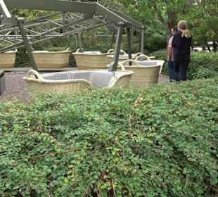 Erlebnispark Tripsdrill