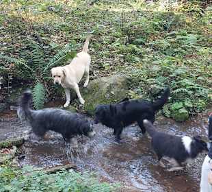 Wandern Stubenberg am See