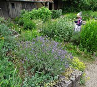 Impressionen aus dem Garten des Bauernmuseums