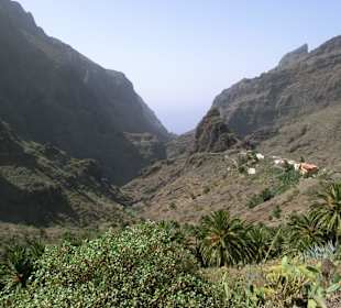 Schlucht Masca