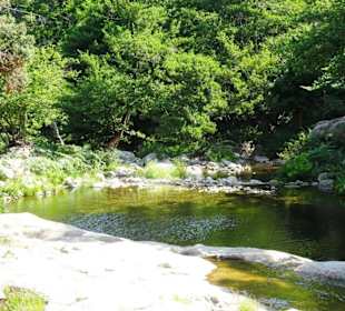 Impressionen von einer Wanderung an der Massane