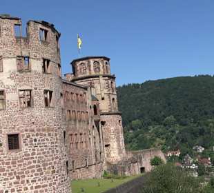 Schloss Heidelberg