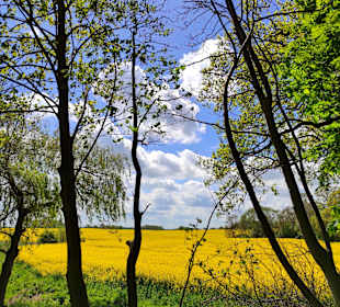 Wandern Baabe [Rügen]