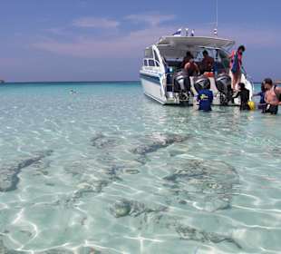 Schnocheln fast ohne Brille