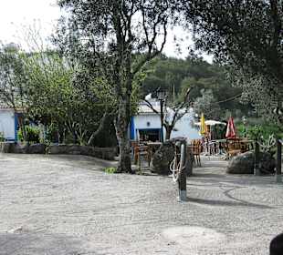 Jardim das Olivairas