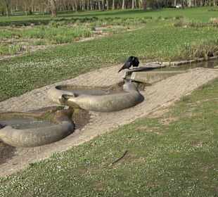 Unterer Schlossgarten Stuttgart