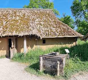 Moos und Strohdach mit Brunnen