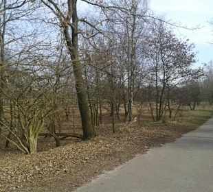 Naturschutzgebiet