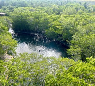 Cenote auf dem Weg nach Holbox