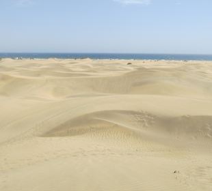 Dünen von Maspalomas