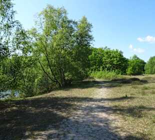Wanderung durch den Sandtrockenrasen von Achim