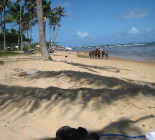 Strandidylle