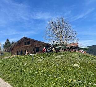 Wandern Bannwald Baiersbronn