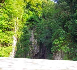 Die Natur in der Schlucht