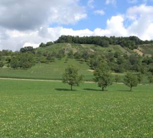 Wanderweg Ammerbucher Gigeleswegle