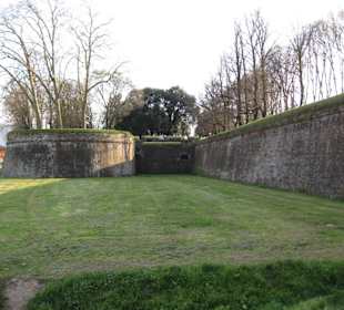Ausflug Lucca (historische Stadtmauer)