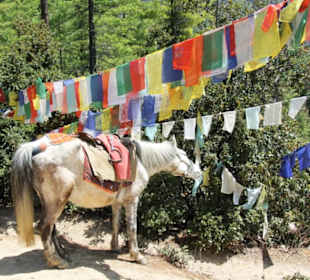 Taktsang Kloster - Tiger's Nest
