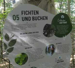 INFO-Tafel am Naturentdeckerpfad Woid Woifes Welt