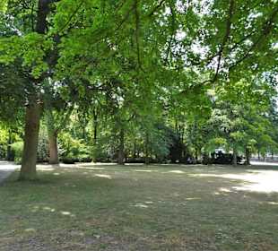Rundgang durch den Hofgarten Düsseldorf