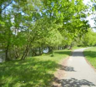 Naturschutzgebiet Boberger Niederung