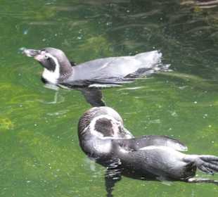 Ausflug