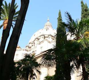 Blick vom Campo auf den Petersdom I