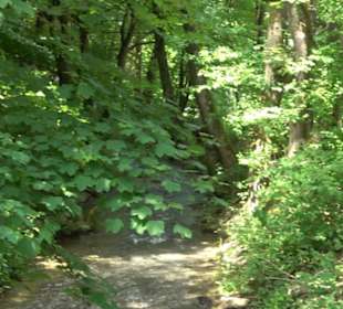 Wiesaztal Gönningen