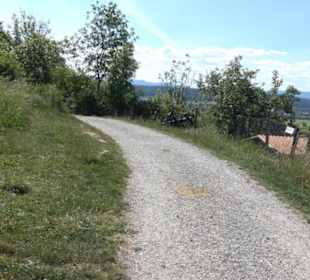 Früchtetrauf - Wurmlinger Kapellenwegle