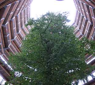 Adlerhorst innen von Unten