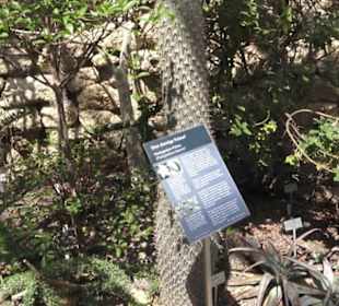 Botanischer Garten der Universität Zürich