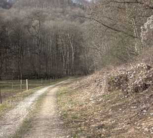 Maisental