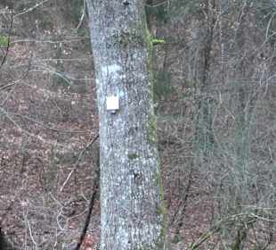 Ochsenweiher Rundweg