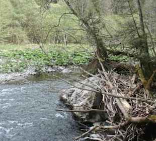 Relativ ruhiges Wasser