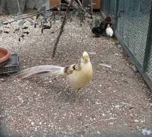 Tierpark/Dörferfahrt