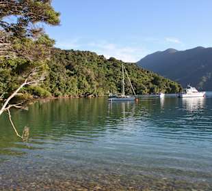 Idyllische Buchten am Queen Charlotte Weg