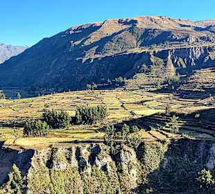Colca-Canyon