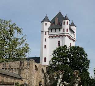 Die Kurfürstliche Burg Eltville