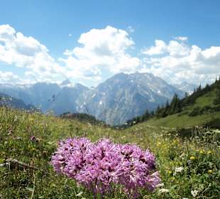 Bei einer Wanderung auf dem Jenner