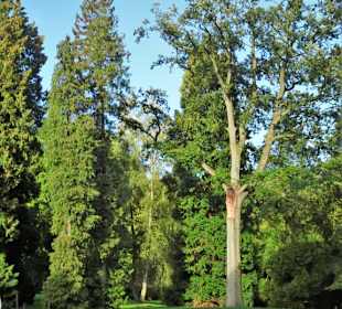 Eindrücke aus dem herbstlichen Knoops Park