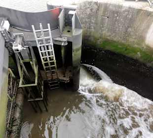 Einströmen des Wassers über die Spülmuscheln