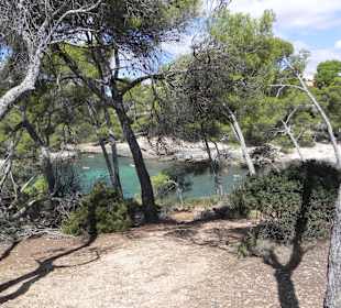 Strand Cala Mondrago