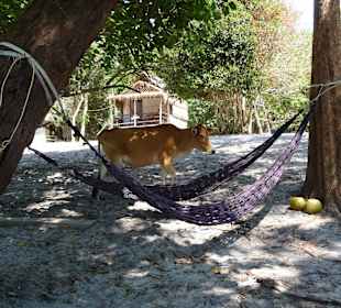 Auf der zweiten Insel