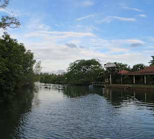 Flussfahrt direkt vor dem Club Hotel Dolphin mit Haralds Boo