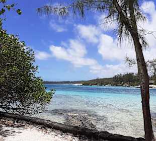 Blue Bay Marine Park