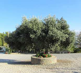 Vorplatz Kloster Moni Thari