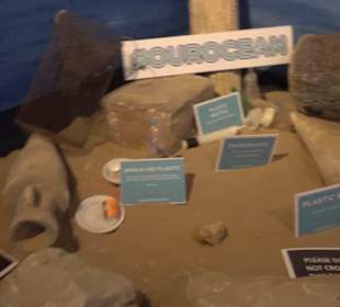 National Aquarium Malta