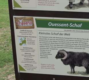 Erlebnispark Tripsdrill