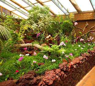Orchideenhaus