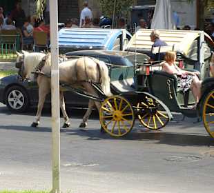 So kann man auch Valencia erkunden
