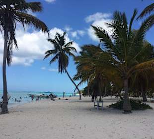 Saona Tour mit Guide Andy Bayahibe Ausflüge